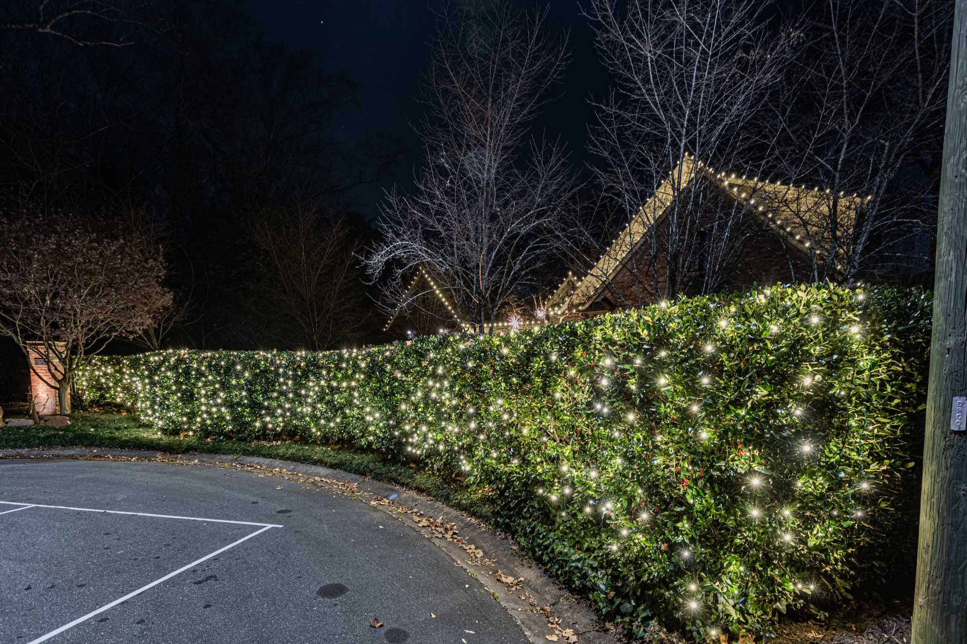 Fulton County Christmas light installer lighting bushes and landscaping
